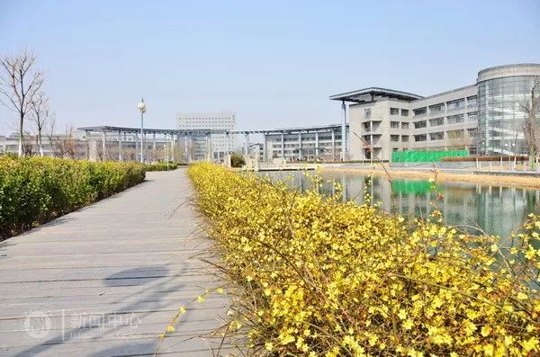 大四去实习对考研有影响吗,实习对考研有影响吗