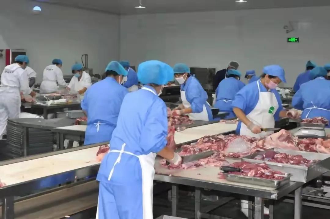 锡林浩特自然景观,锡林浩特市发展战略