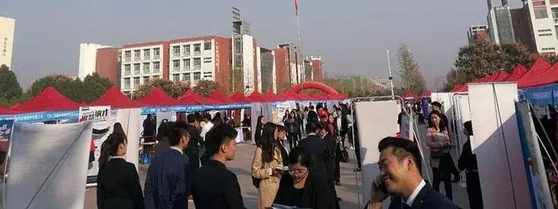 濮阳招聘会濮阳人才网,河南大学人才招聘网最新招聘信息