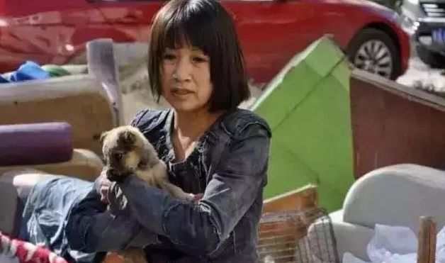 急需救助流浪狗,大量可怜的流浪狗