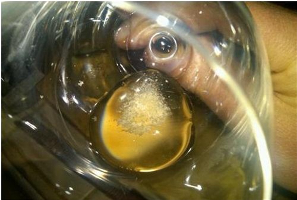 真全粮酿酒和发酵酒的区别,真全粮白酒