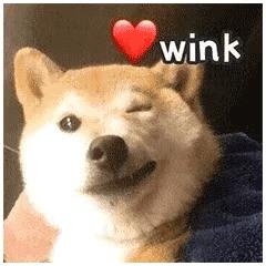 上了大学就自由了？这才是真实的大学生活......