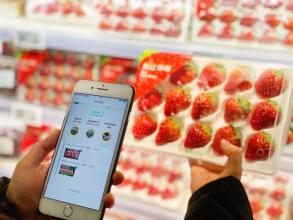 一红到底只卖一天,盒马的葲荭草莓逼疯供应商