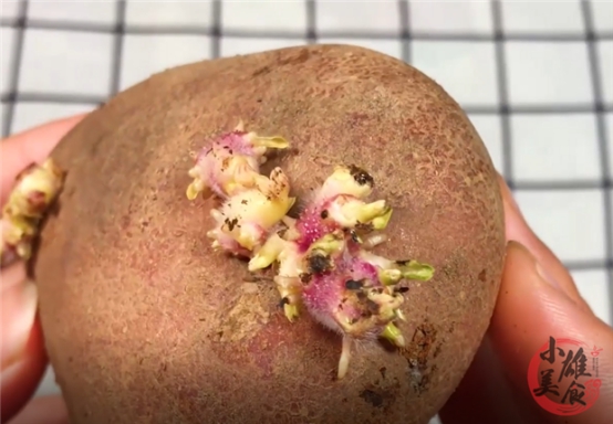 土豆发芽有毒教育视频,发芽的土豆有毒千万不要吃