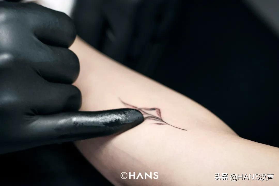 关门8个月不见踪影，我的韩国Tony，他，回武汉了