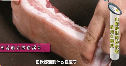 炖猪肉最忌三种调料,炖猪肉最忌讳的2种调料