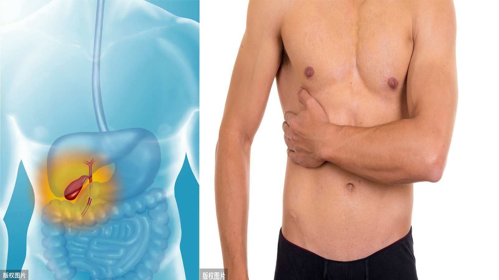 肠绞痛、胆绞痛、肾绞痛，疼痛的位置，区分的方法