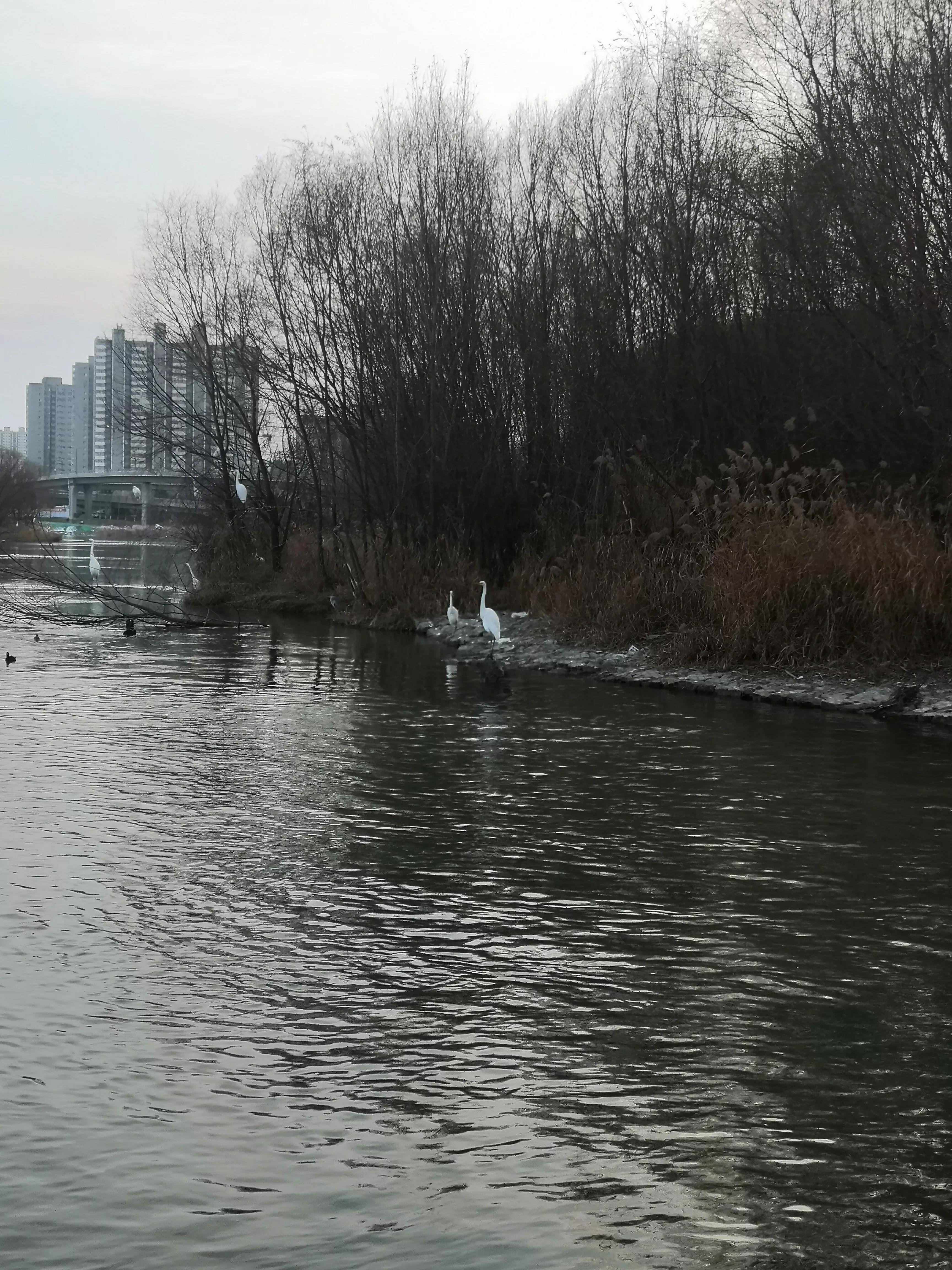 12元的凯利泰香不香?