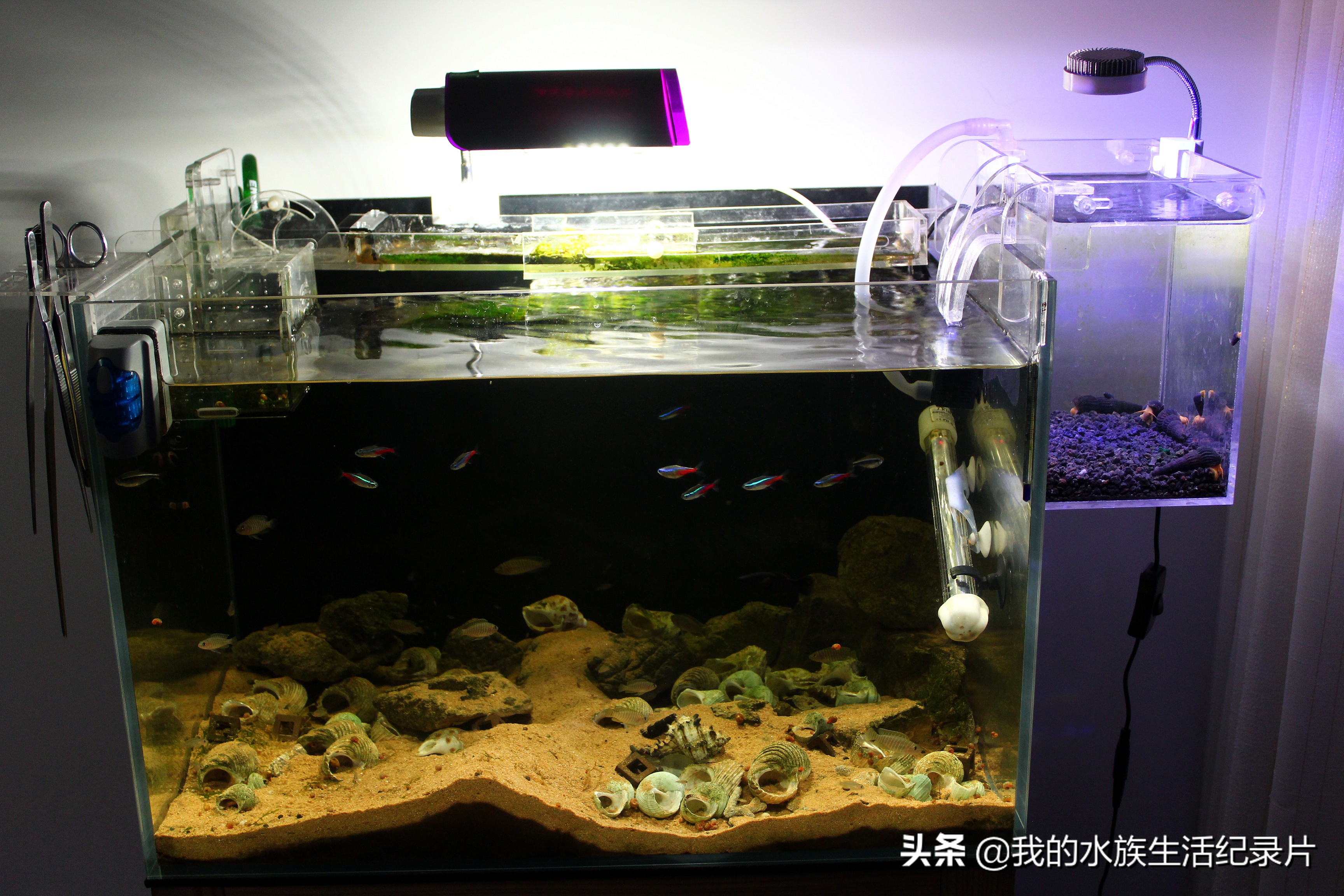 自制亚克力板过滤器,自制鱼缸用玻璃还是亚克力板好