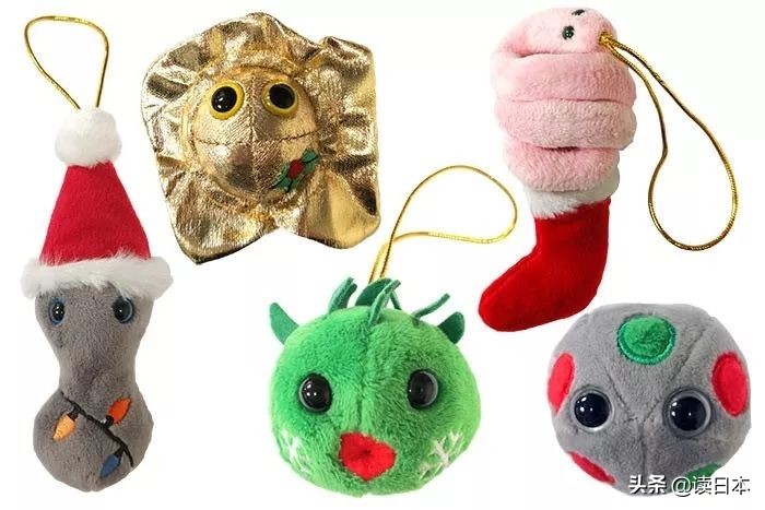 “*体器人官**”挂件或成为日本最新潮流?网友:我的钱包又要哭了