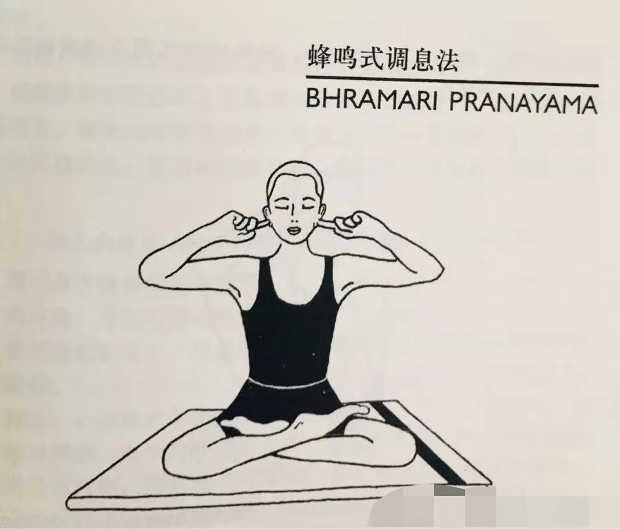 瑜伽腹式呼吸调息引导,瑜伽调息呼吸法