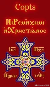 这个国家不会讲自己的母语,疯狂热爱养猫,猫死还要守孝你知道吗