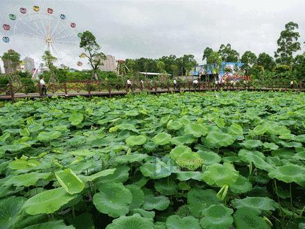 快约！福州这两处绝美村庄，简直就是“童话世界”