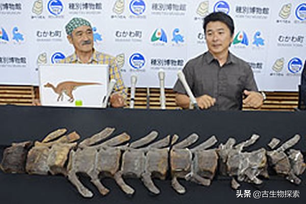 日本第一次在本土发现恐龙化石,发现最不完整的恐龙化石
