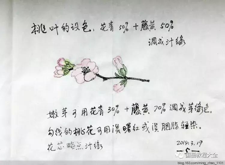 工笔画花鸟入门教程步骤图,国画教学工笔花鸟燕子的重彩画法