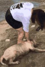 媳妇说丢就丢,媳妇说丢了怎么回