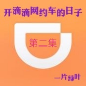 开滴滴网约车的日子——菜鸟接单了