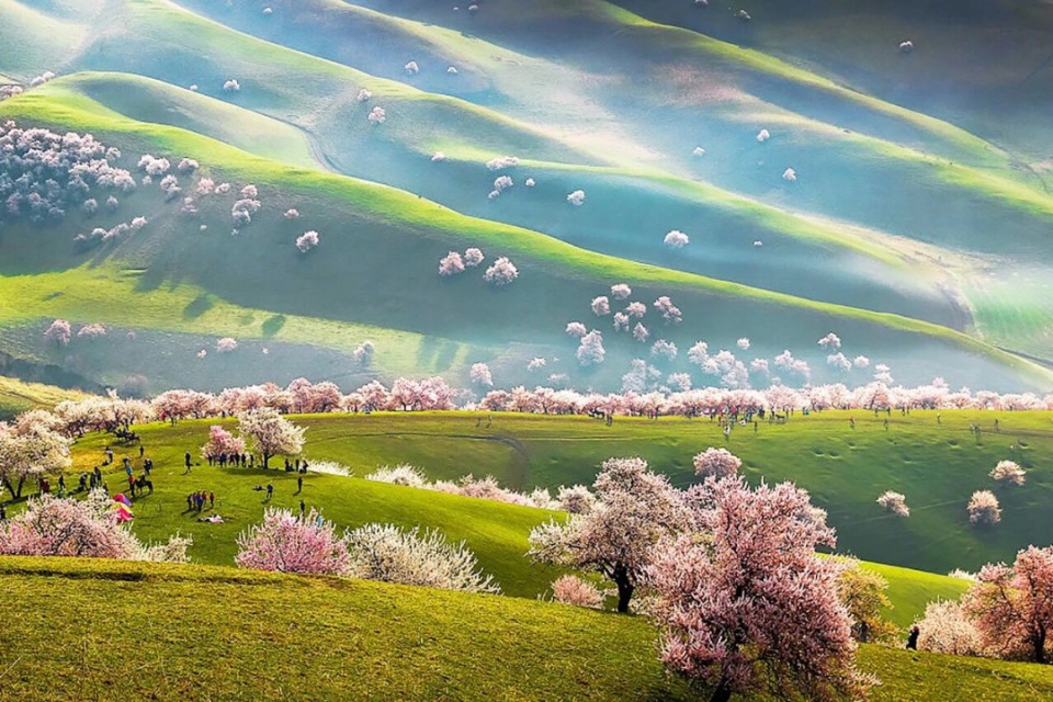 梨花情思歌曲原唱,梨花情思原唱视频