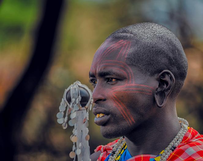 坦桑尼亚之旅,坦桑尼亚东非草原