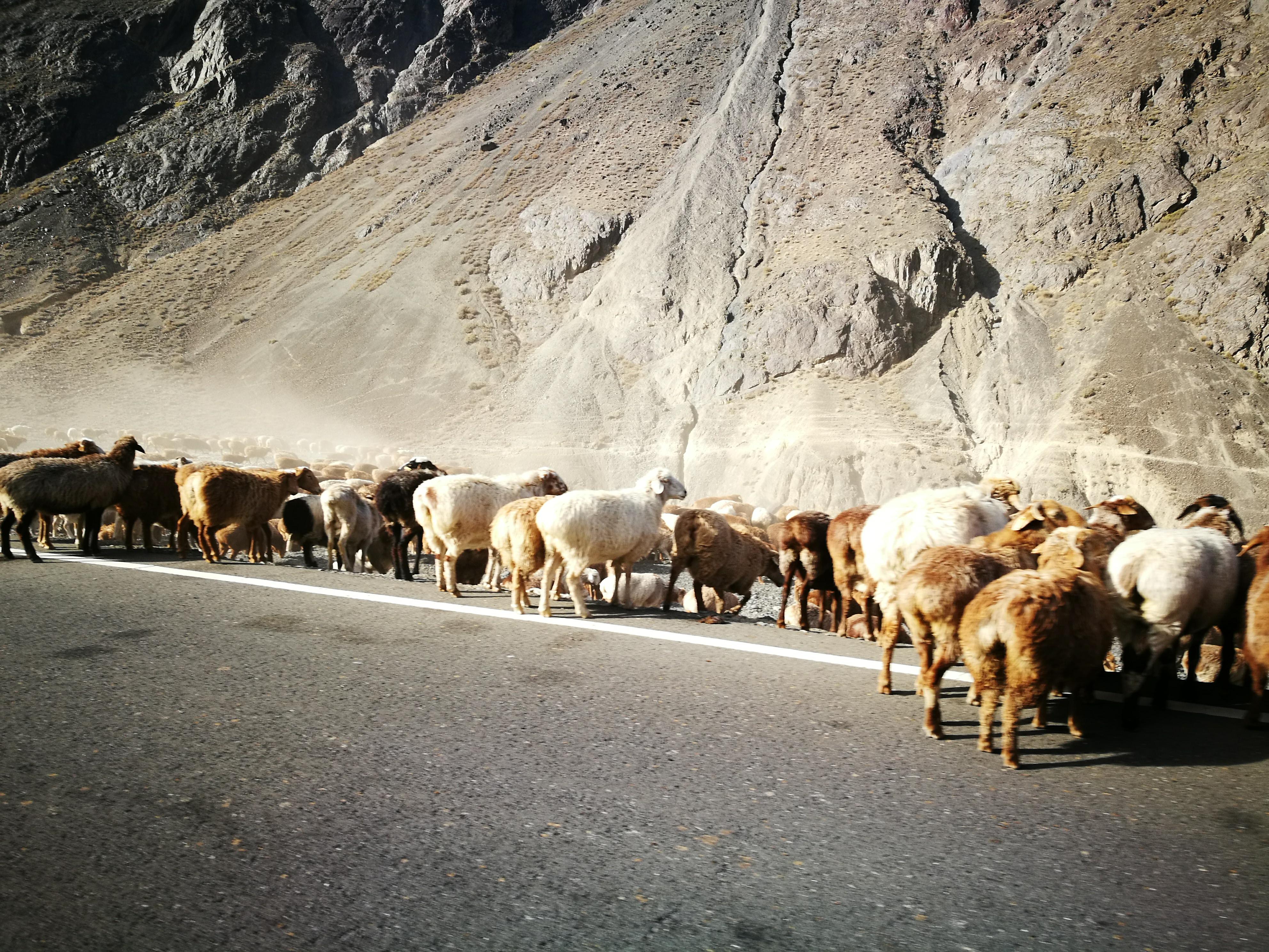 独库公路之旅日记,13000公里自驾新疆第十二天