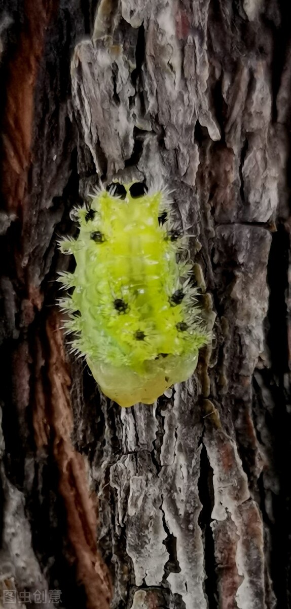 乡土散文记忆中的画面,乡土散文尘封的童年记忆