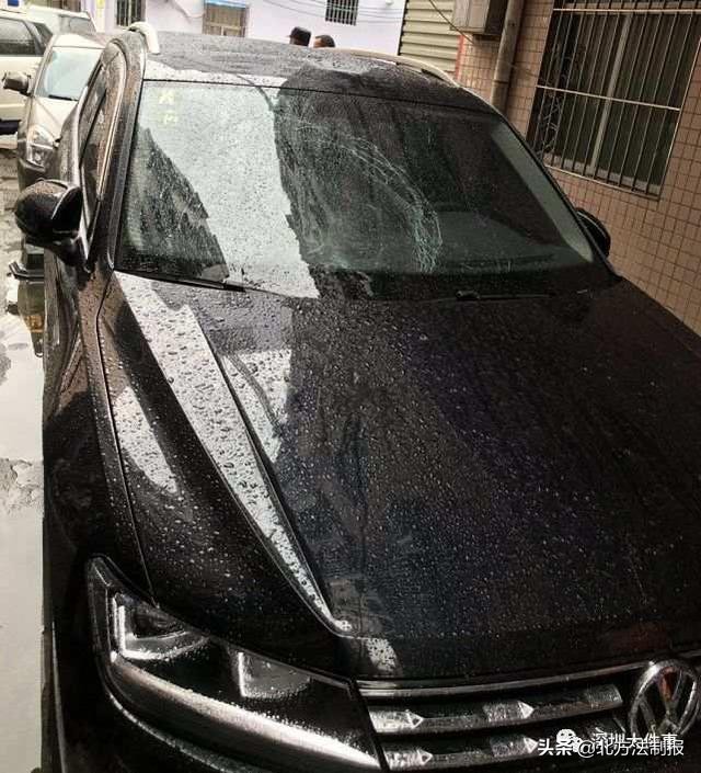 广东深圳高空坠狗事件,警方通报男子高空摔死狗