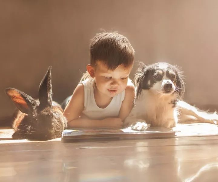 幼儿园孩子比赛失败老师如何安慰,孩子参加比赛没得奖怎么安慰