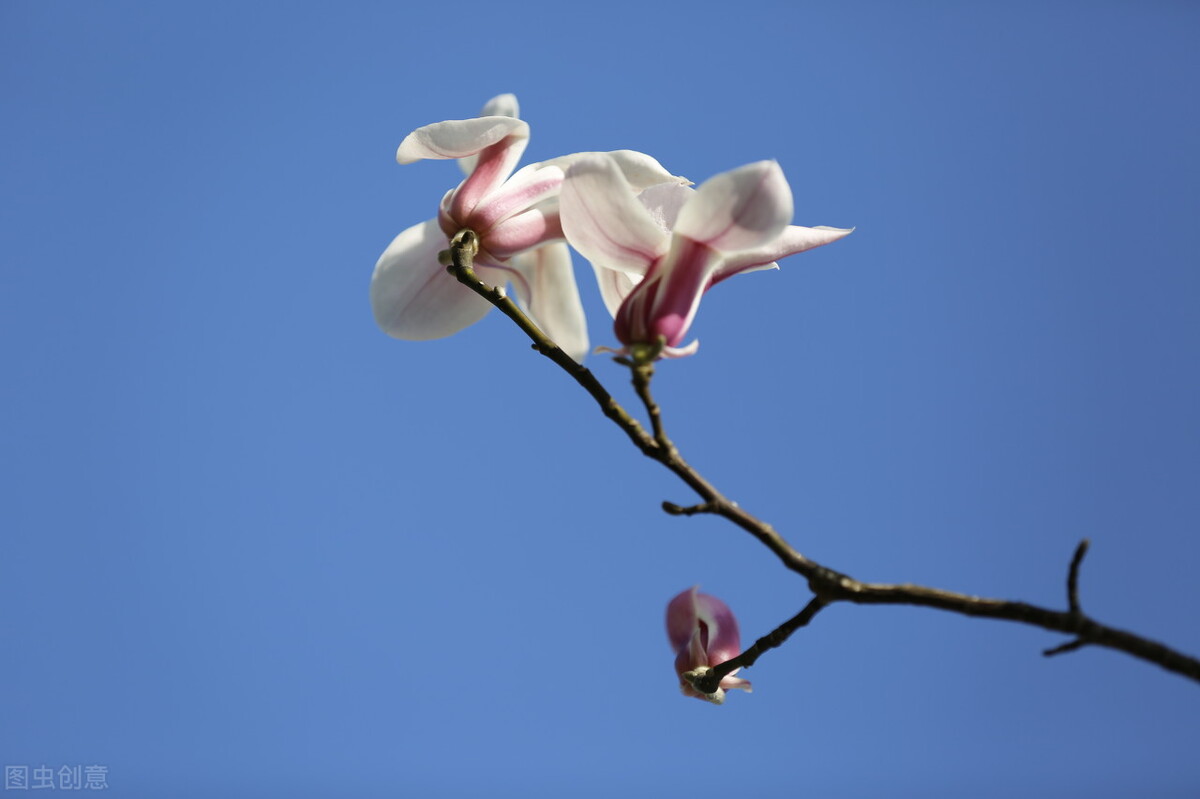 全面提升办学治校水平,以人为本以德治校办学理念解读