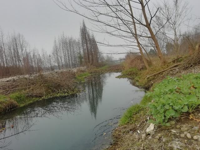 惊险刺激的“跑钓”，让我乐在其中，也总结出了五个要点