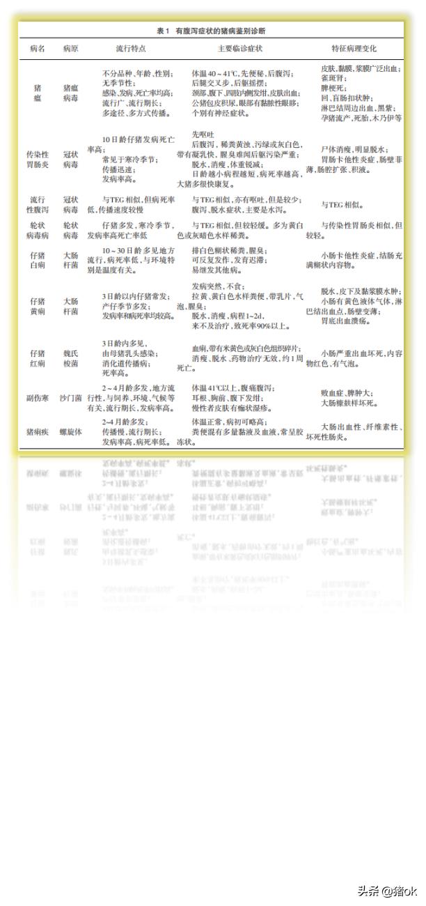 母猪传染性腹泻导致仔猪死亡,母猪产下的小猪就腹泻什么原因呢