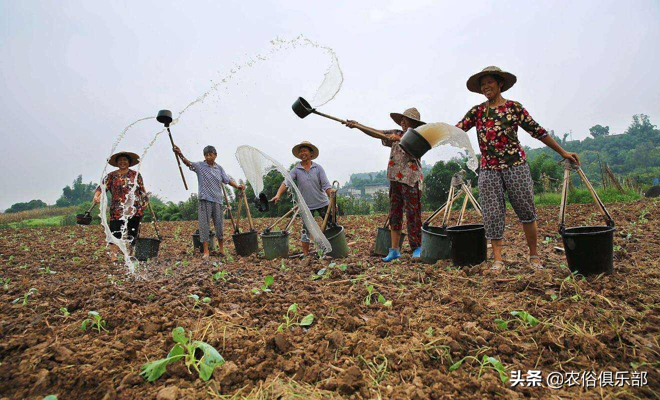 户口在娘家可以分到婆家的地吗,外嫁女在娘家分户无宅基地