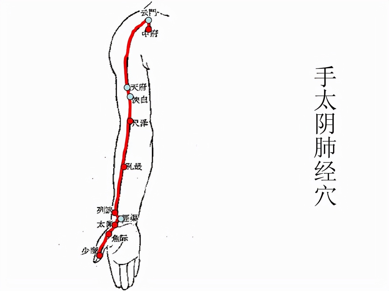 为何最近很多人会在凌晨34点醒来,经常凌晨3-4点醒来是什么原因
