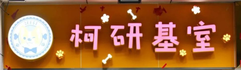 吸屁屁,短腿大耳肉嘟嘟,这家店进去就出不来了…