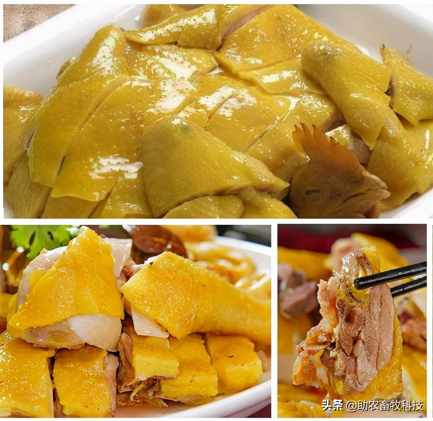 发酵饲料和全价饲料的优势,发酵饲料氨基酸含量高吗