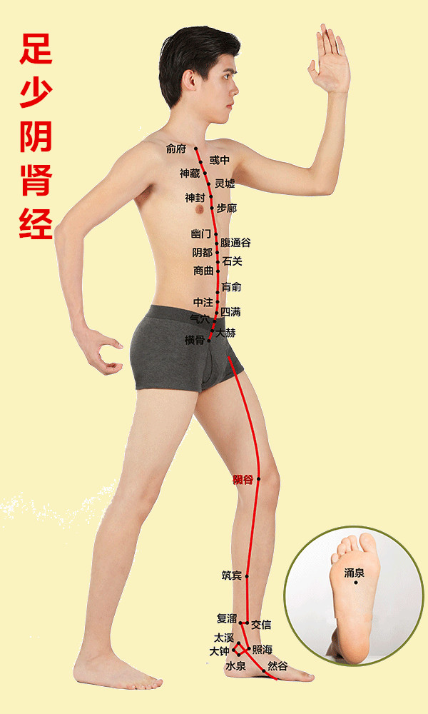 人体有十二条经络和三焦,人体有哪12条经络