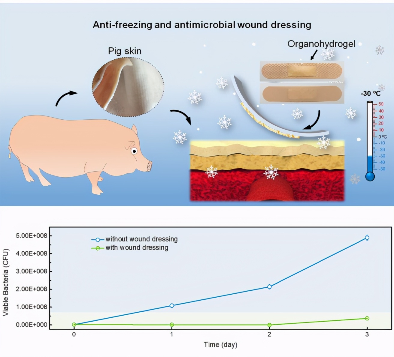 榴莲核变废为宝,榴莲壳变废为宝手工花盆