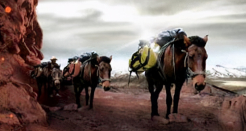 茶马贸易是什么,茶马交易的目的是什么