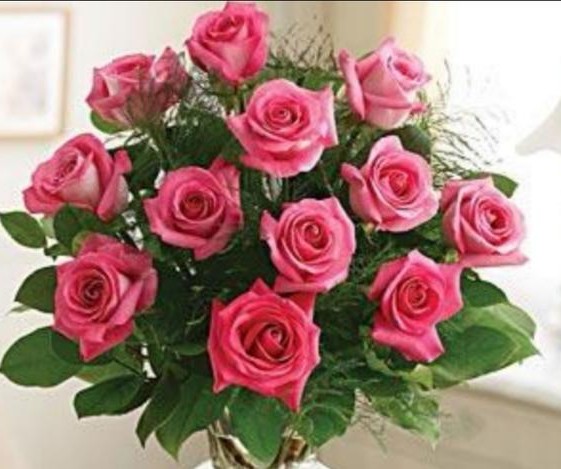 区分月季和玫瑰的正确方法,蔷薇属中的蔷薇月季玫瑰如何区别