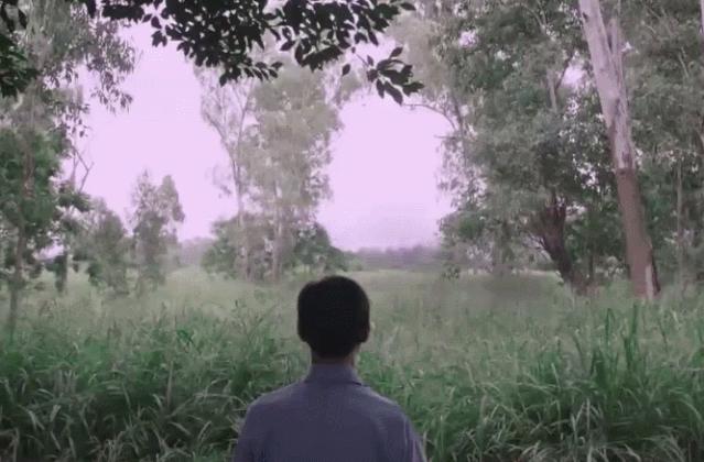 郑少秋港剧灵异事件,郑少秋早期港剧