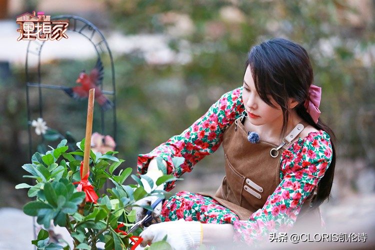 凯伦诗新品发布会,凯伦诗直播