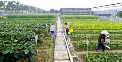 有机农业到底该怎么做呢,有机农业的困境和出路