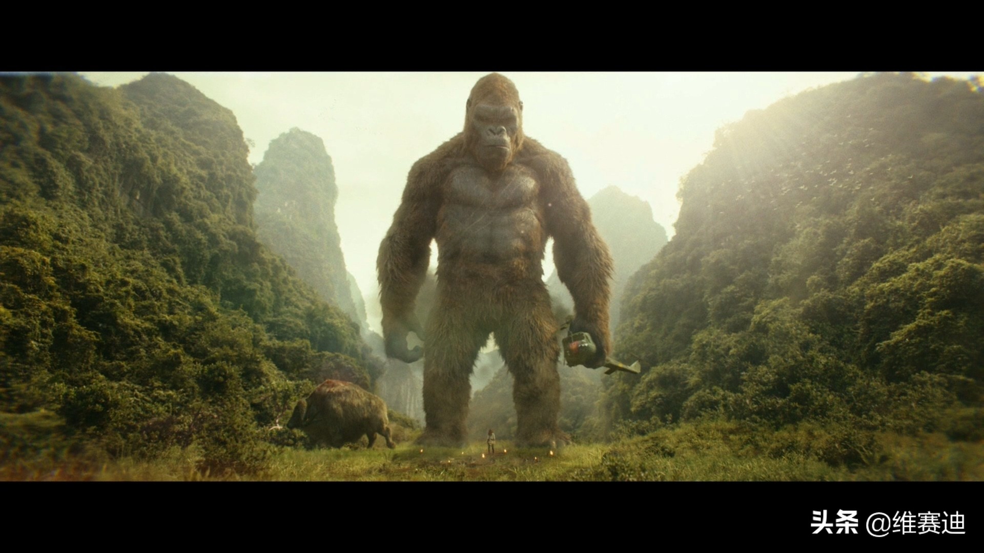 金刚怪兽宇宙,怪兽宇宙漫画里金刚有什么能力