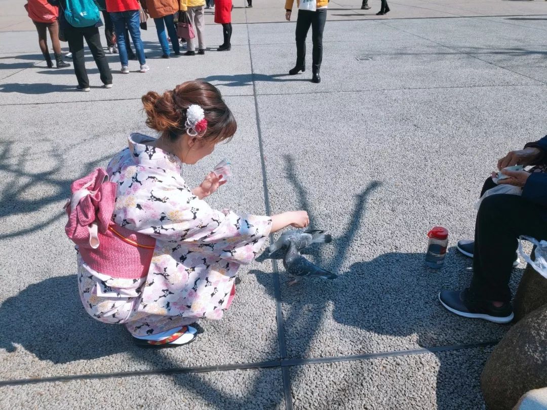 日本本州旅游攻略亲子,日本本州攻略