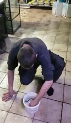 玩了一下电鳗,他口吐白沫倒下了