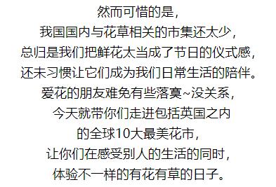 亚洲最大花市宛如仙境,中国最牛的花市