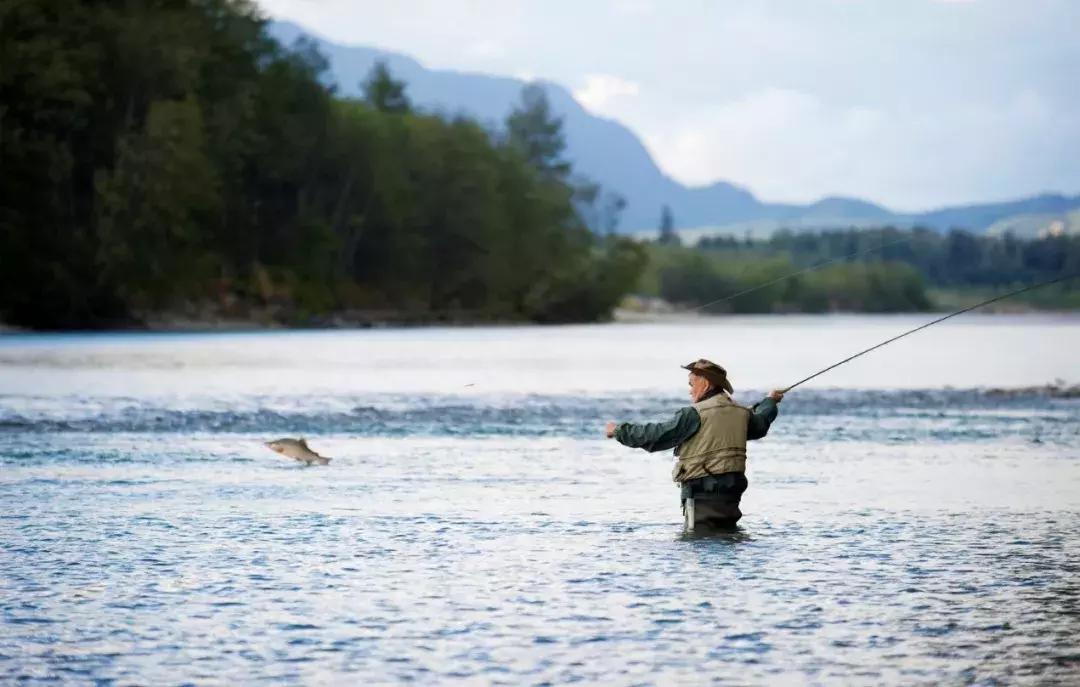 温哥华，超出你期待的钓鱼圣地
