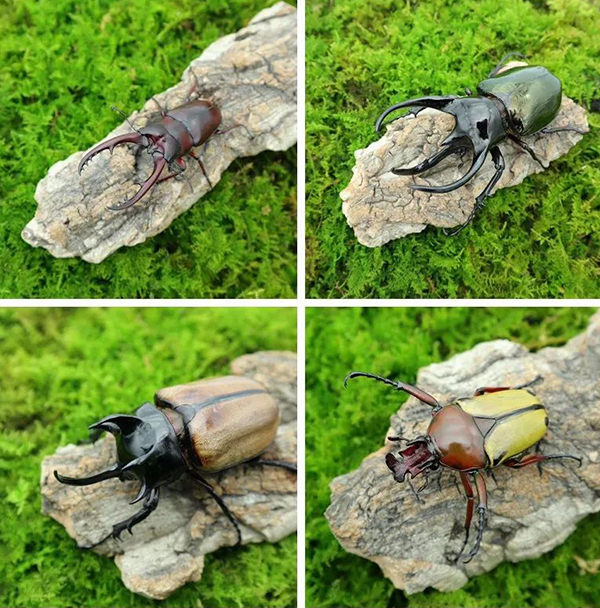 小伙深山养殖小动物,温州小伙深山4年养虫3万只