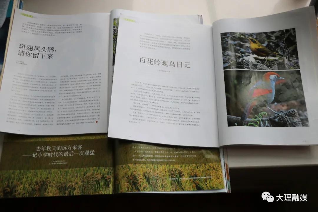 李博洋全部视频,李博洋清华大学