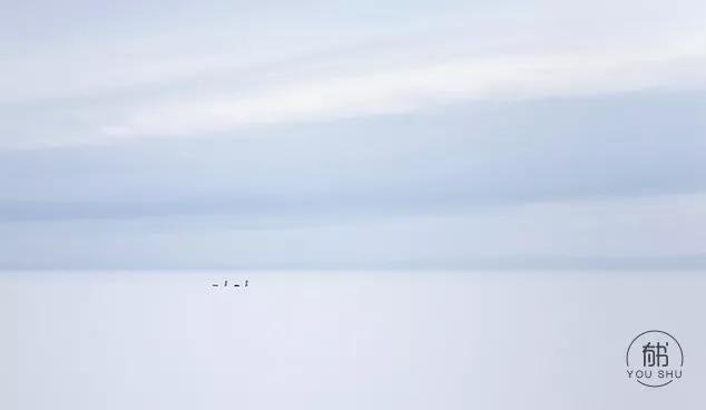 寡到极致的文案,极致深度好文