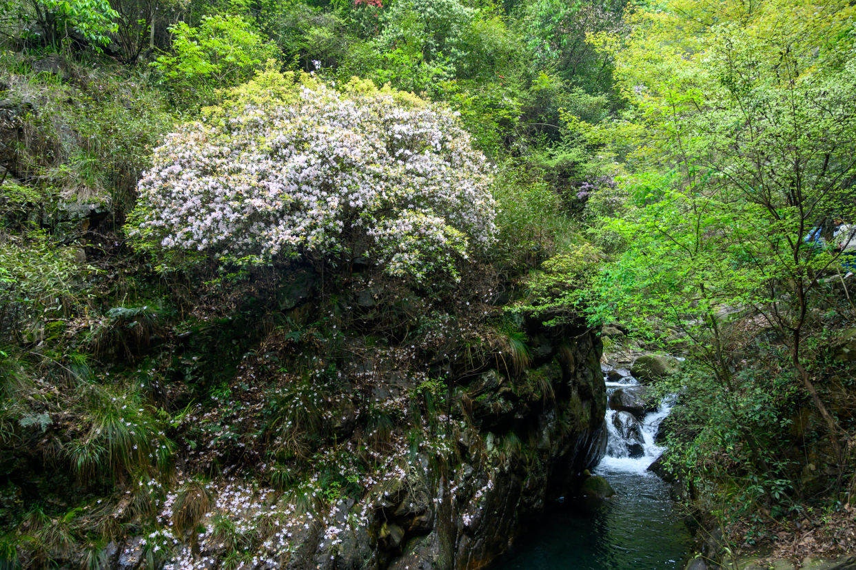 浙江这座宝藏小城,藏着一处山水秘境,史称江南第一名山